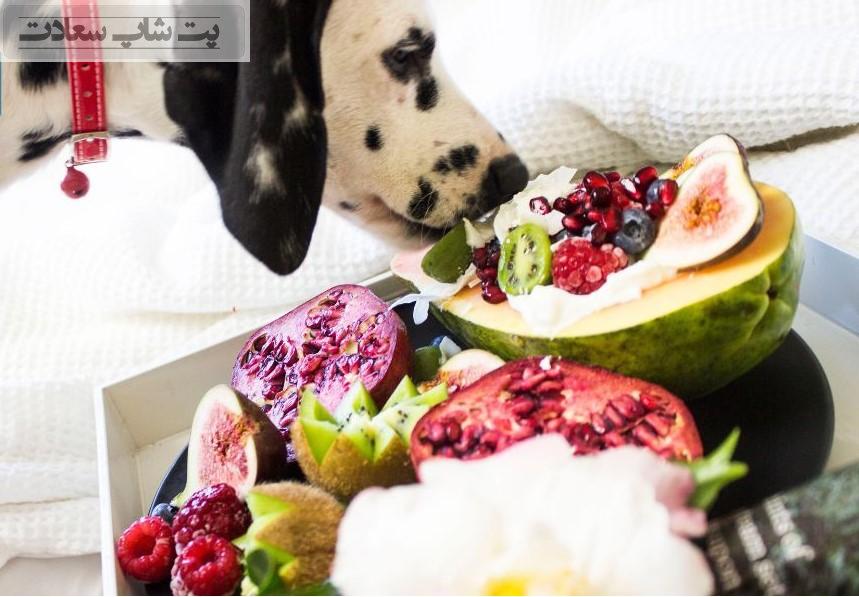 سبزیجات مفید برای سگ در روزهای بهاری